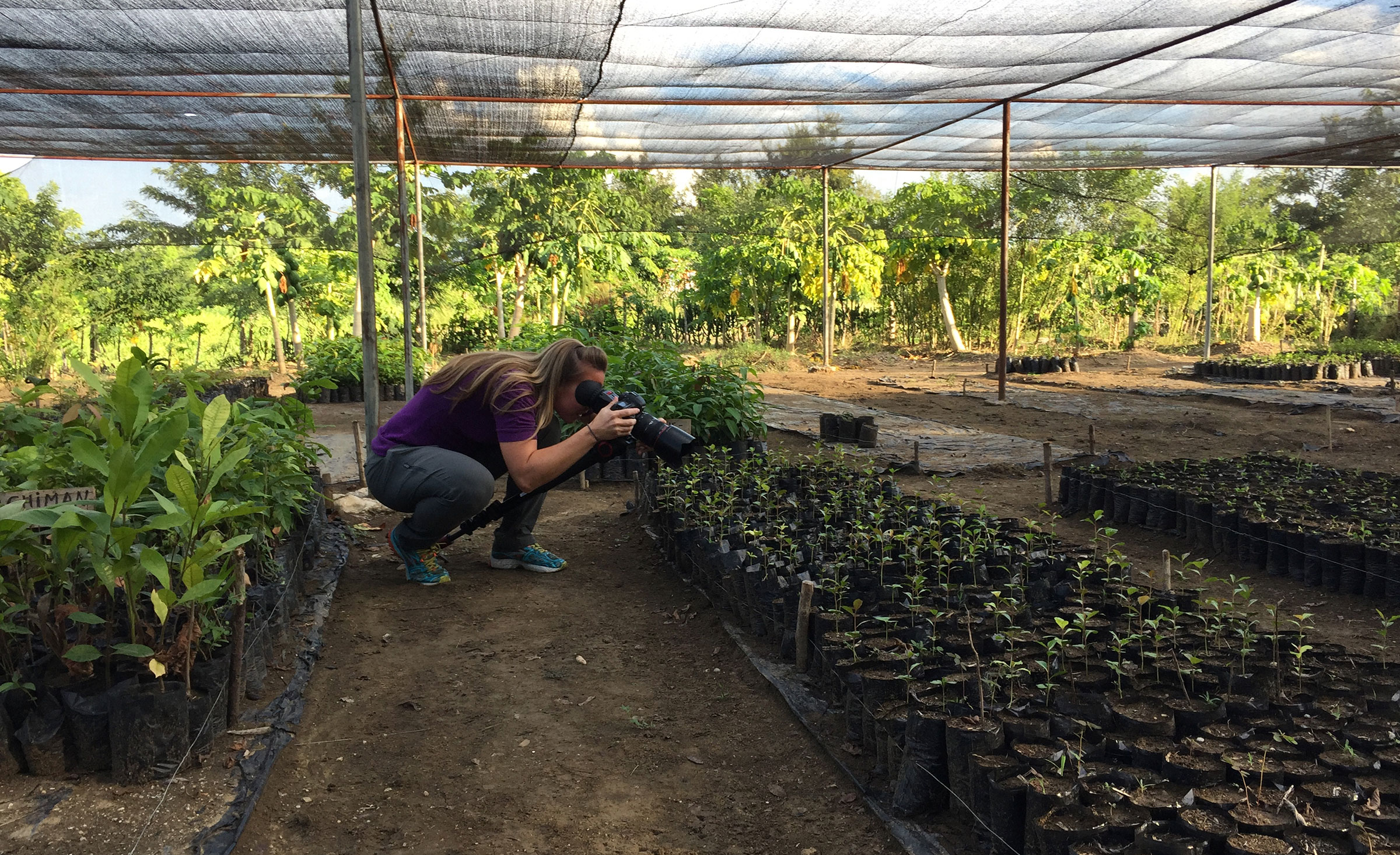 savane-plate-community-garden