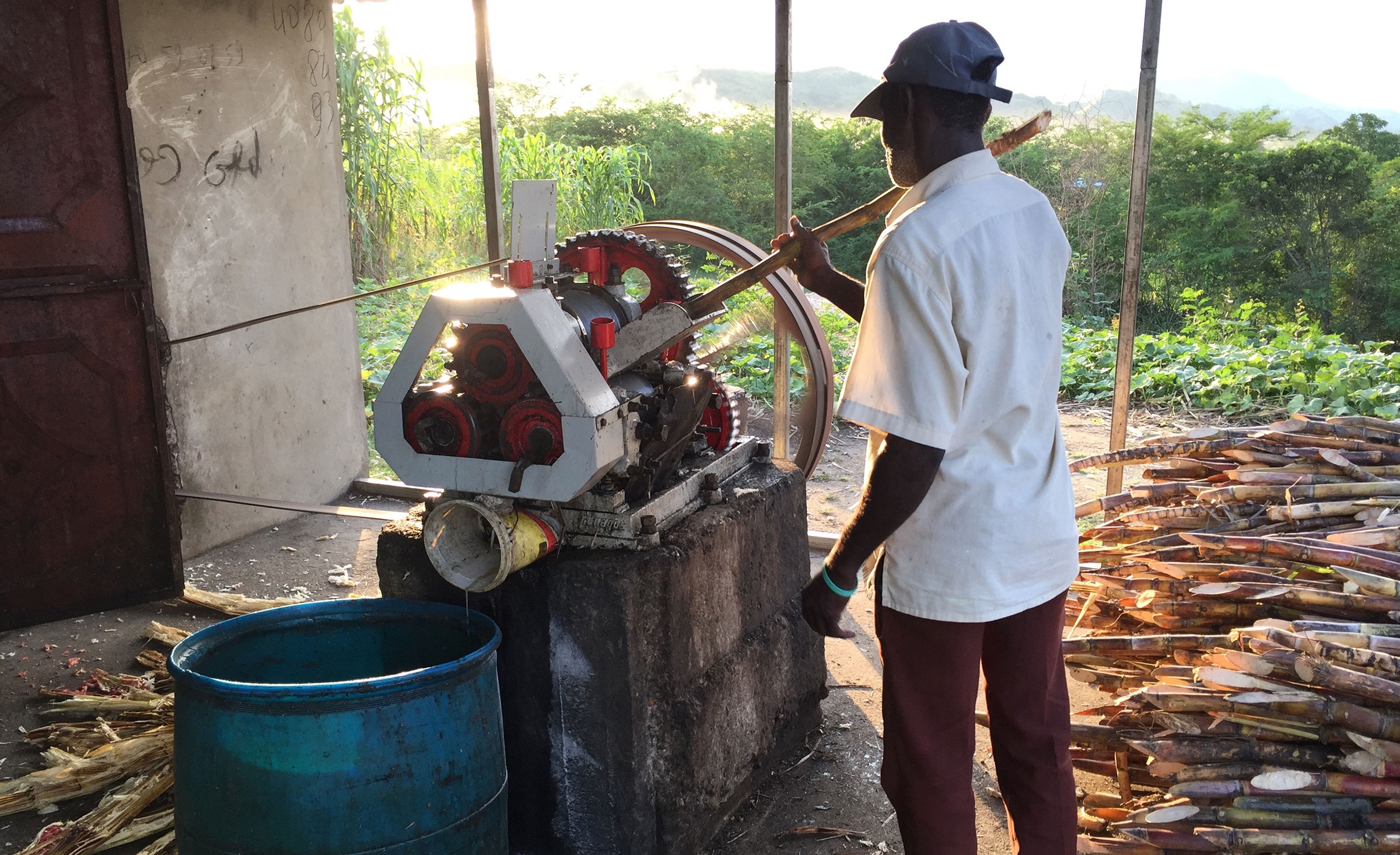 sugar-cane-mill